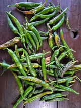 팜모닝 농사, 무엇이든 물어보세요!·참여글 게시글 이미지