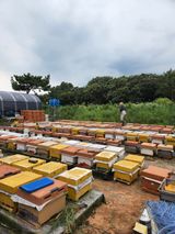 팜모닝 팜모닝·출석 게시글 이미지