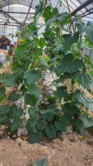 김희영님의 자유주제 · 자유게시판 작성글 사진