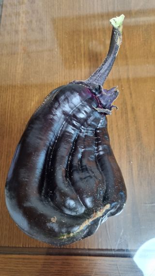 사과14790님의 자유주제 · 자유게시판 작성글 사진