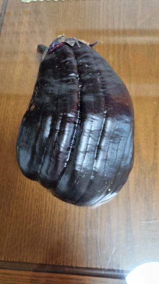 사과14790님의 자유주제 · 자유게시판 작성글 사진