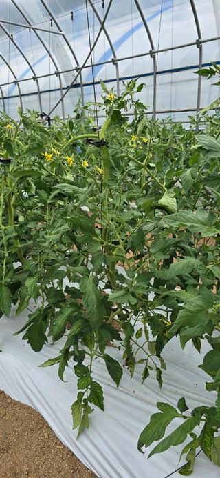 신현국님의 자유주제 · 자유게시판 작성글 사진