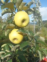 팜모닝 · 게시글 이미지