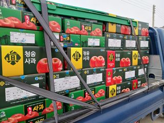 다나농원 이진우님의 작성글 사진