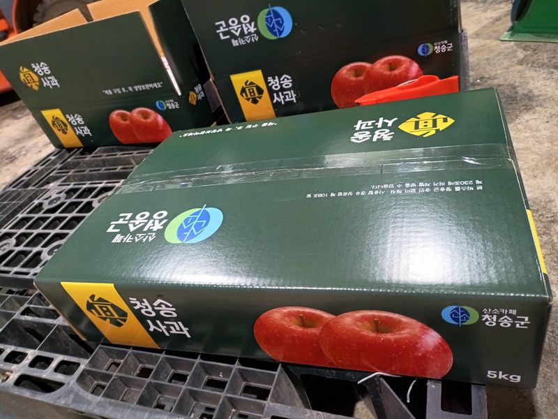 다나농원 이진우님의 장터 판매 상품 [청송꿀사과 시나노골드(황금사과)5kg   예약주문] 첨부 사진