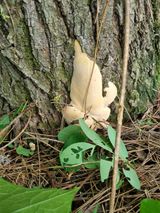 팜모닝 자유주제·자유게시판 게시글 이미지