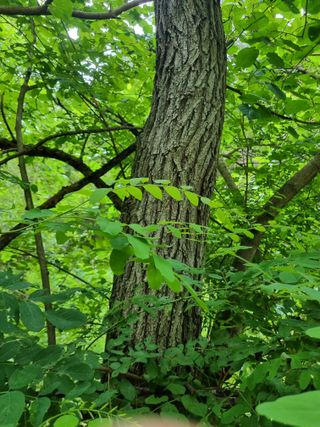귀농은어렵다.님의 자유주제 · 자유게시판 작성글 사진