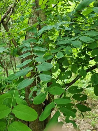 귀농은어렵다.님의 자유주제 · 자유게시판 작성글 사진