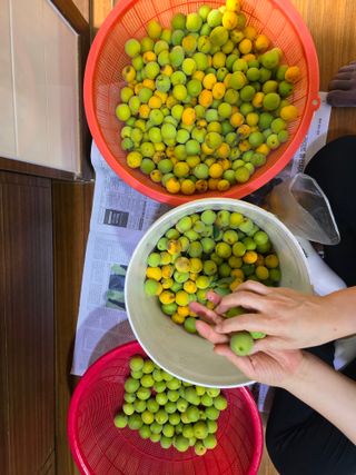 유만종님의 자유주제 · 자유게시판 작성글 사진