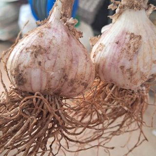 김복실님의 자유주제 · 건의해요 작성글 사진