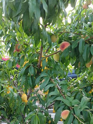 삼부자님의 자유주제 · 자유게시판 작성글 사진