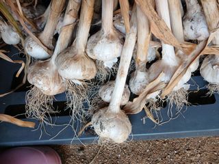 삼부자님의 자유주제 · 자유게시판 작성글 사진