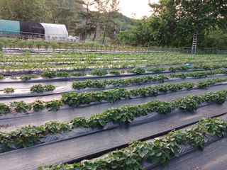 명장님의 자유주제 · 자유게시판 작성글 사진