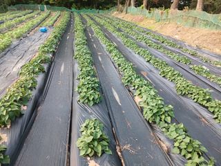 명장님의 자유주제 · 자유게시판 작성글 사진