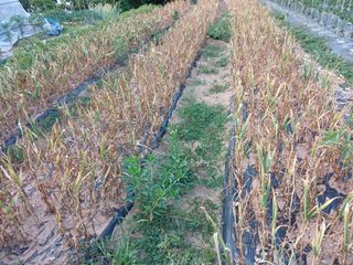 명장님의 자유주제 · 자유게시판 작성글 사진