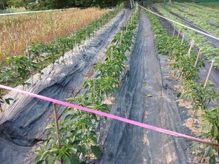 명장님의 자유주제 · 자유게시판 작성글 사진