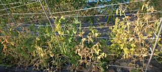 규철님의 자유주제 · 자유게시판 작성글 사진