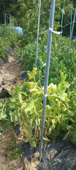 규철님의 자유주제 · 자유게시판 작성글 사진