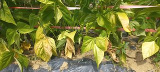 규철님의 자유주제 · 자유게시판 작성글 사진