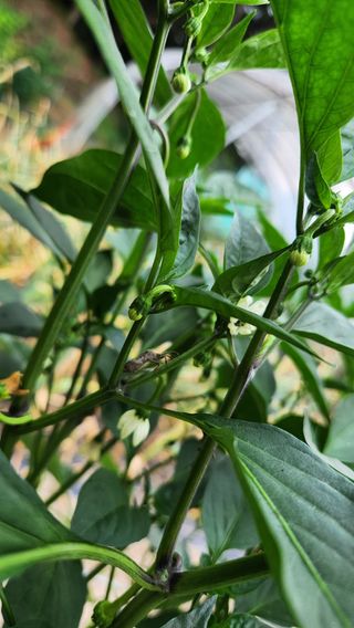 정산님의 자유주제 · 자유게시판 작성글 사진