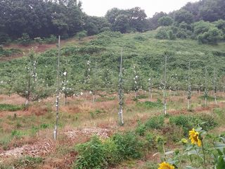 시골살이님의 자유주제 · 자유게시판 작성글 사진