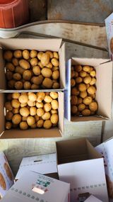 팜모닝 자유주제·자유게시판 게시글 이미지