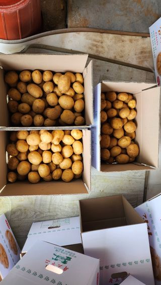 김양미건우네벌꿀농장님의 자유주제 · 자유게시판 작성글 사진