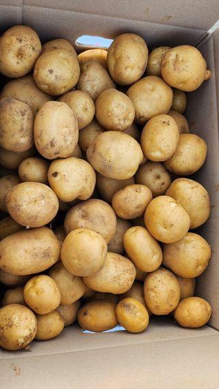 김양미건우네벌꿀농장님의 자유주제 · 자유게시판 작성글 사진