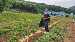 김양미건우네벌꿀농장님의 자유주제 · 자유게시판 작성글 사진