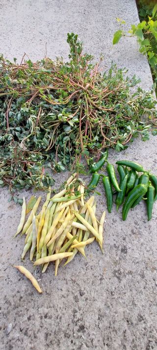 이경옥님의 자유주제 · 자유게시판 작성글 사진