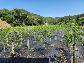 이덕수님의 자유주제 · 자유게시판 작성글 사진