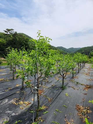 이덕수님의 자유주제 · 자유게시판 작성글 사진