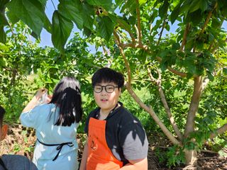 남옥선님의 자유주제 · 사진전 작성글 사진