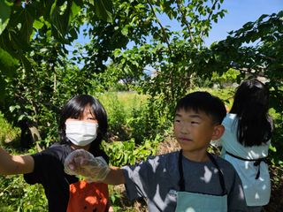 남옥선님의 자유주제 · 사진전 작성글 사진