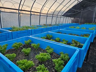 남옥선님의 자유주제 · 자유게시판 작성글 사진