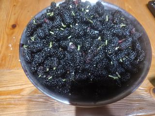 남옥선님의 자유주제 · 자유게시판 작성글 사진