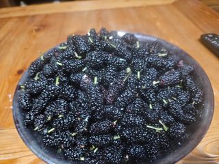 남옥선님의 자유주제 · 자유게시판 작성글 사진