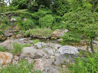 남옥선님의 자유주제 · 자유게시판 작성글 사진