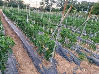 알 수 없음님의 자유주제 · 사진전 작성글 사진