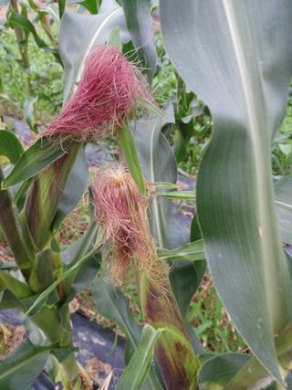 알 수 없음님의 자유주제 · 사진전 작성글 사진