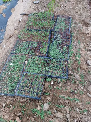 알 수 없음님의 자유주제 · 사진전 작성글 사진