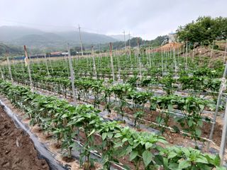 알 수 없음님의 자유주제 · 사진전 작성글 사진