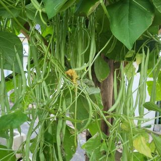 남옥선님의 자유주제 · 자유게시판 작성글 사진