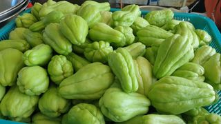 남옥선님의 자유주제 · 자유게시판 작성글 사진