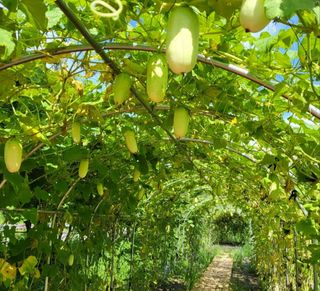 남옥선님의 자유주제 · 자유게시판 작성글 사진