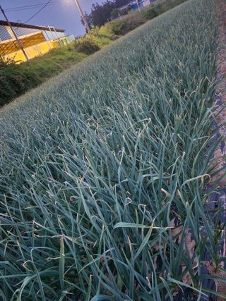 최승일님의 작성글 사진