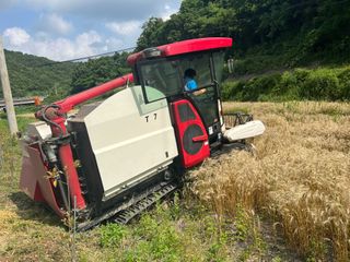 마경구님의 기타작물 · 영농일지 작성글 사진