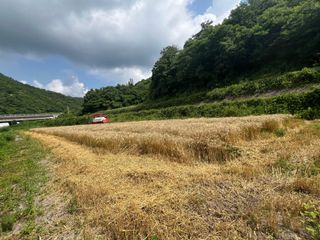 마경구님의 기타작물 · 영농일지 작성글 사진