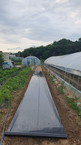 이서구님의 자유주제 · 자유게시판 작성글 사진