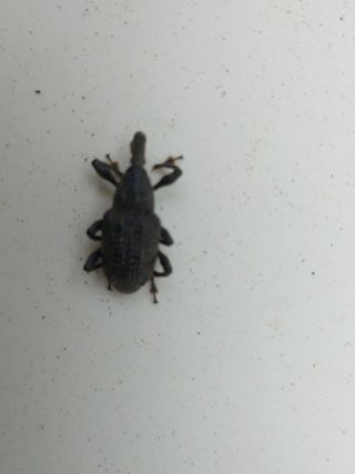 해파랑농원님의 농사, 무엇이든 물어보세요! · 참여글 작성글 사진